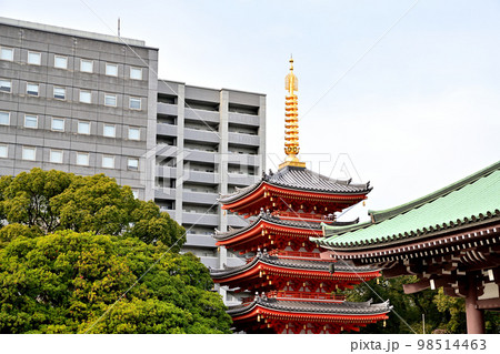 福岡市の風景 東長寺 福岡市の風景 東長寺 98514463