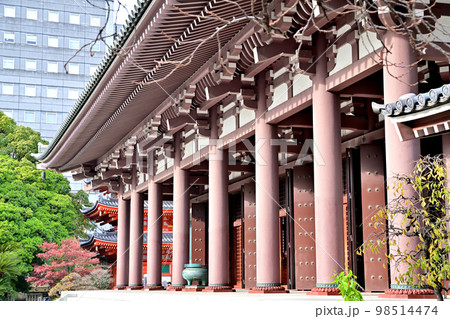 福岡市の風景 東長寺 福岡市の風景 東長寺 98514474