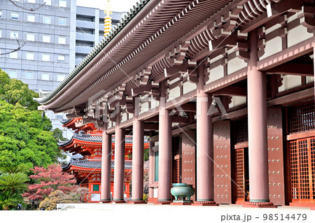 福岡市の風景 東長寺 福岡市の風景 東長寺 98514479