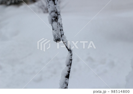 冬 自動車 積雪 ワイパー 冬 自動車 積雪 ワイパー 98514800