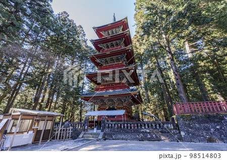 冬晴れの日光東照宮　五重塔　栃木県日光市 98514803