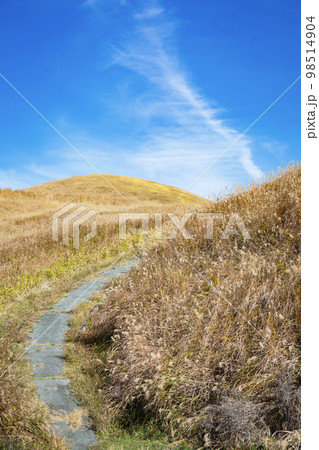 阿蘇 米塚下園地周辺の風景 阿蘇 米塚下園地周辺の風景 98514904