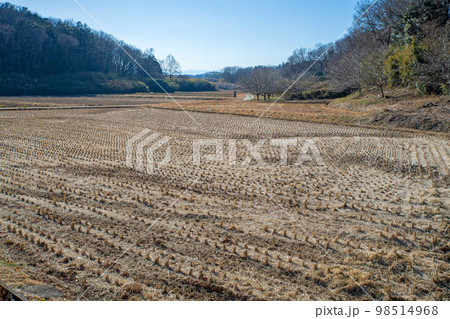 里山　真冬の風景　熊谷市小江川付近　　　　　 98514968