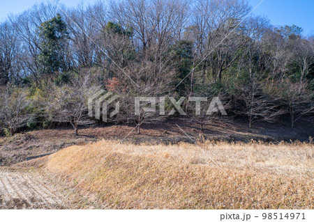 里山 真冬の風景 熊谷市小江川付近 里山 真冬の風景 熊谷市小江川付近 98514971