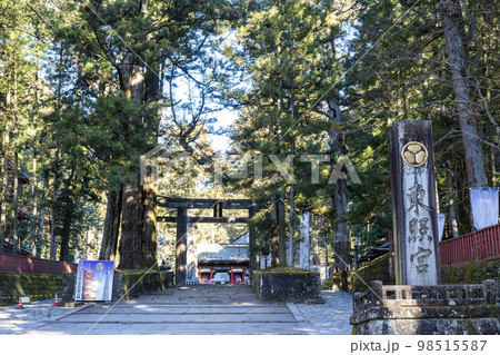 冬晴れの日光東照宮　参道と鳥居　栃木県日光市 98515587