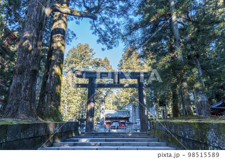 冬晴れの日光東照宮　参道と鳥居　栃木県日光市 98515589