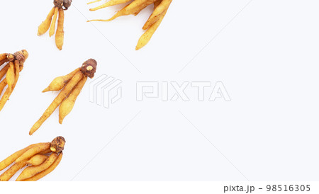 Fingerroot on a white background. 98516305