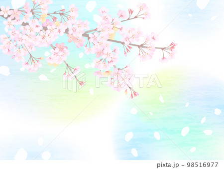 ふんわりと明るい空を見上げた、幻想的な桜の背景イラスト 98516977