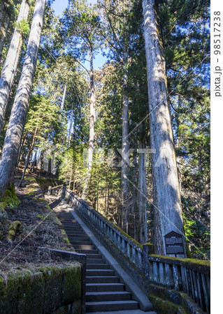 冬晴れの日光東照宮　 奥社参道　奥宮に向かう参道　栃木県日光市 98517238
