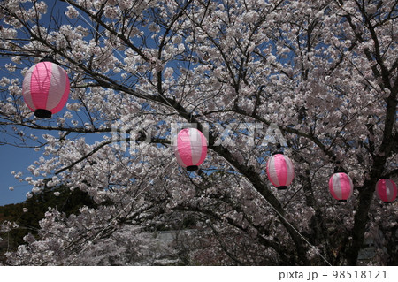 根来寺 根来寺 98518121