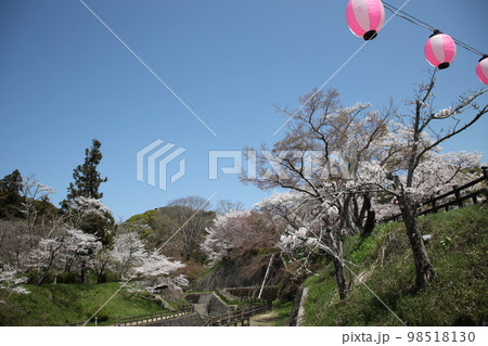 根来寺 根来寺 98518130