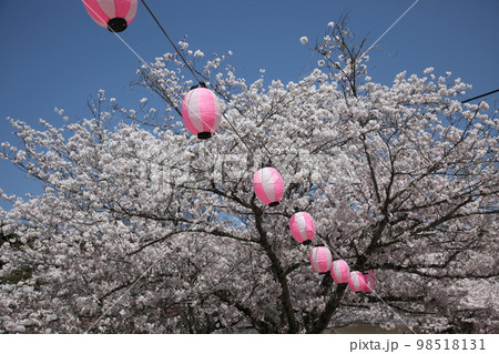 根来寺 根来寺 98518131