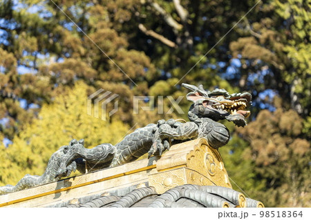 冬晴れの日光東照宮 唐門の恙 栃木県日光市 冬晴れの日光東照宮 唐門の恙 栃木県日光市 98518364