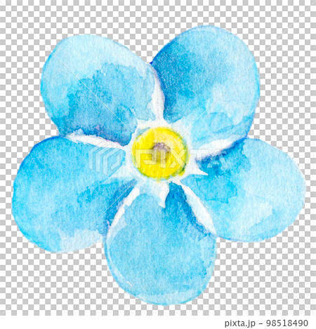 Botanical watercolor illustration Blue flower 98518490