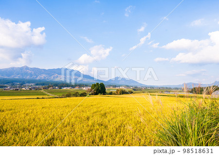 大自然の豊かな森や豊富な湧水、透き通った空気 白川水源駅周辺の夕焼け田園風景(南阿蘇村) 大自然の豊かな森や豊富な湧水、透き通った空気 白川水源駅周辺の夕焼け田園風景(南阿蘇村) 98518631