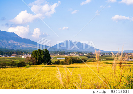 大自然の豊かな森や豊富な湧水、透き通った空気　白川水源駅周辺の夕焼け田園風景(南阿蘇村) 98518632