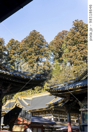 冬晴れの日光東照宮　御本社　栃木県日光市 98518646