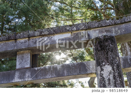 冬晴れの日光東照宮　参道の石鳥居　栃木県日光市 98518649