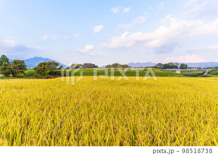 大自然の豊かな森や豊富な湧水、透き通った空気　白川水源駅周辺の夕焼け田園風景(南阿蘇村) 98518738