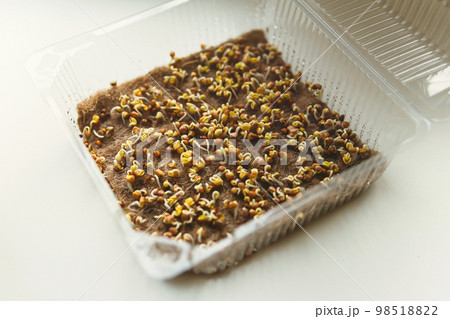 Healthy organic food micro greens bio organic edible harvest after sowing. Health eco gardening, business concept. 98518822