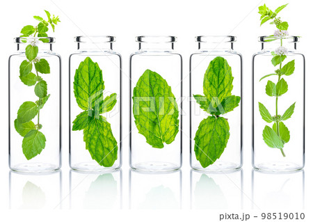 Bottles of essential oil with mint isolated on white background. 98519010