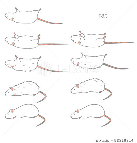 体調の悪いラットのベクターイラストセット 体調の悪いラットのベクターイラストセット 98519214