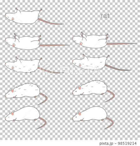 体調の悪いラットのベクターイラストセット 体調の悪いラットのベクターイラストセット 98519214