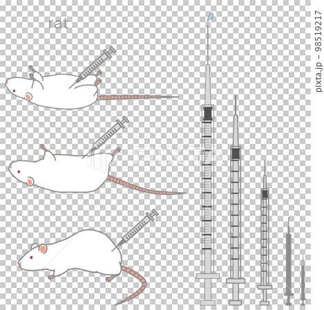 各種尺寸的注射器和被注射的大鼠的矢量圖解集 98519217