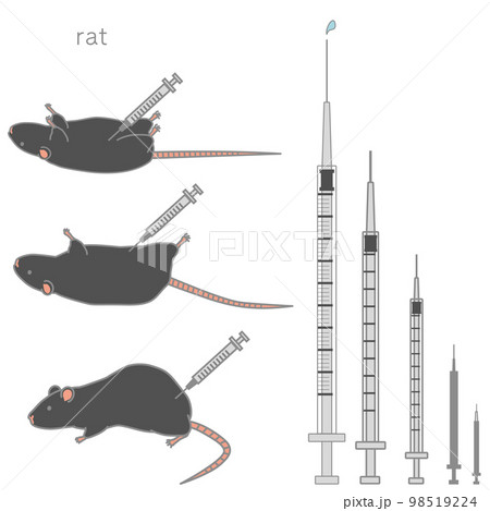 様々な大きさの注射器＆注射されている黒いラットのベクターイラストセット 98519224