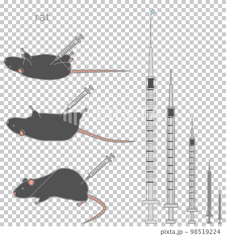 様々な大きさの注射器＆注射されている黒いラットのベクターイラストセット 98519224