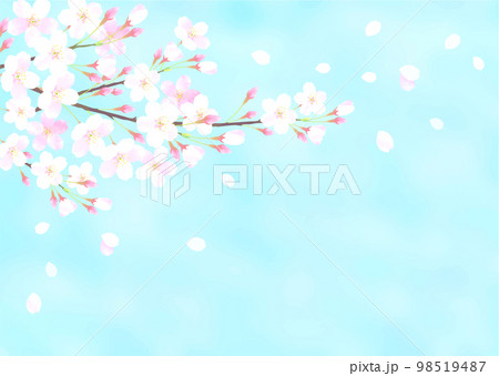 青空と桜の水彩タッチのベクターイラスト背景 98519487
