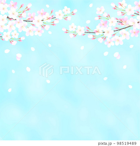 青空と桜の水彩タッチのベクターイラスト背景 98519489