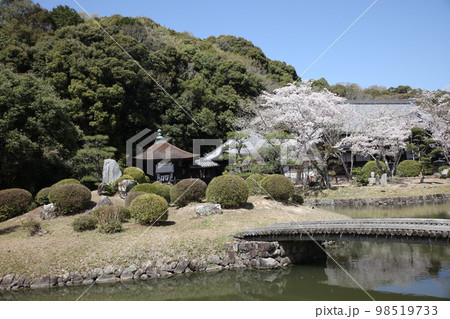 根来寺 根来寺 98519733