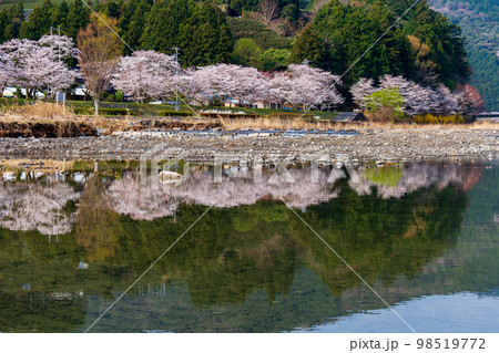 静岡県島田市川根町家山　大井川鉄道と沿線の風景 98519772
