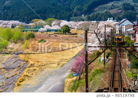 静岡県島田市川根町家山　大井川鉄道と沿線の風景 98519798