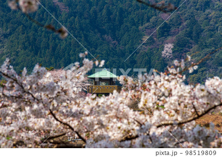 静岡県島田市川根町家山　大井川鉄道と沿線の風景 98519809