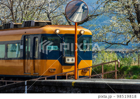 静岡県島田市川根町家山　大井川鉄道と沿線の風景 98519818