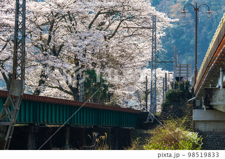 静岡県島田市川根町家山　大井川鉄道と沿線の風景 98519833