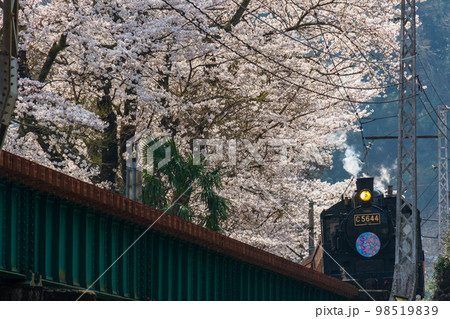 静岡県島田市川根町家山　大井川鉄道と沿線の風景 98519839