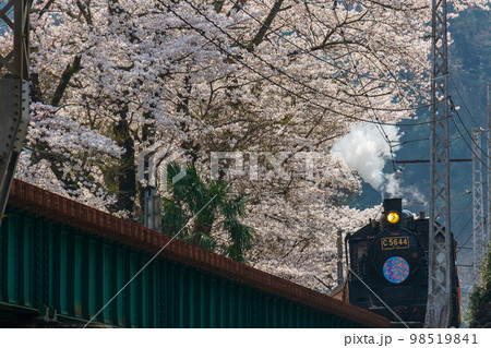 静岡県島田市川根町家山　大井川鉄道と沿線の風景 98519841