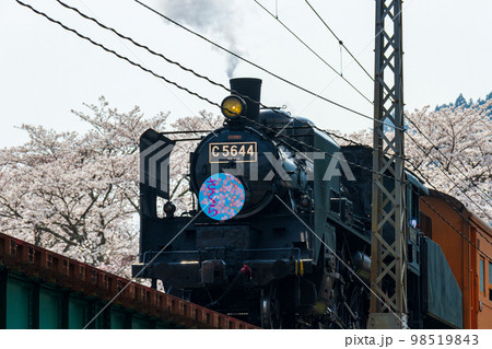 静岡県島田市川根町家山　大井川鉄道と沿線の風景 98519843