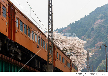 静岡県島田市川根町家山　大井川鉄道と沿線の風景 98519875