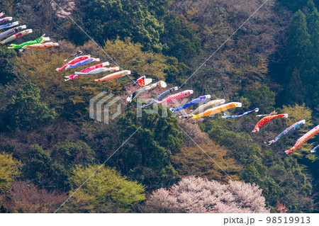 静岡県島田市川根町家山　大井川鉄道と沿線の風景 98519913