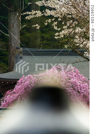 静岡県周智郡森町一宮 小國神社と境内の風景 静岡県周智郡森町一宮 小國神社と境内の風景 98519952