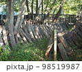 原木しいたけ栽培 98519987
