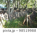 原木しいたけ栽培 98519988