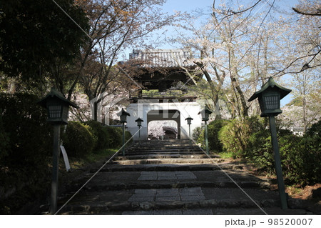 根来寺 根来寺 98520007