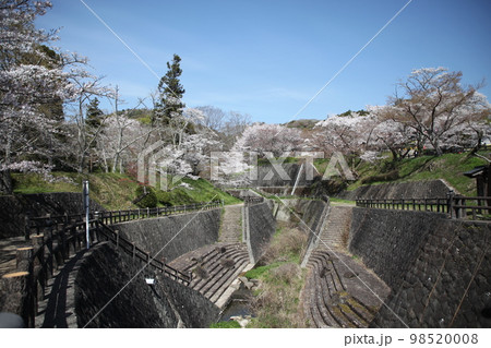 根来寺 根来寺 98520008
