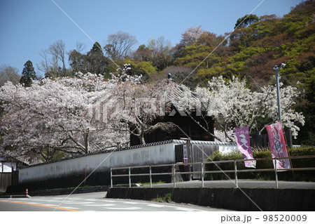 根来寺 根来寺 98520009