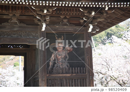 根来寺 98520409
